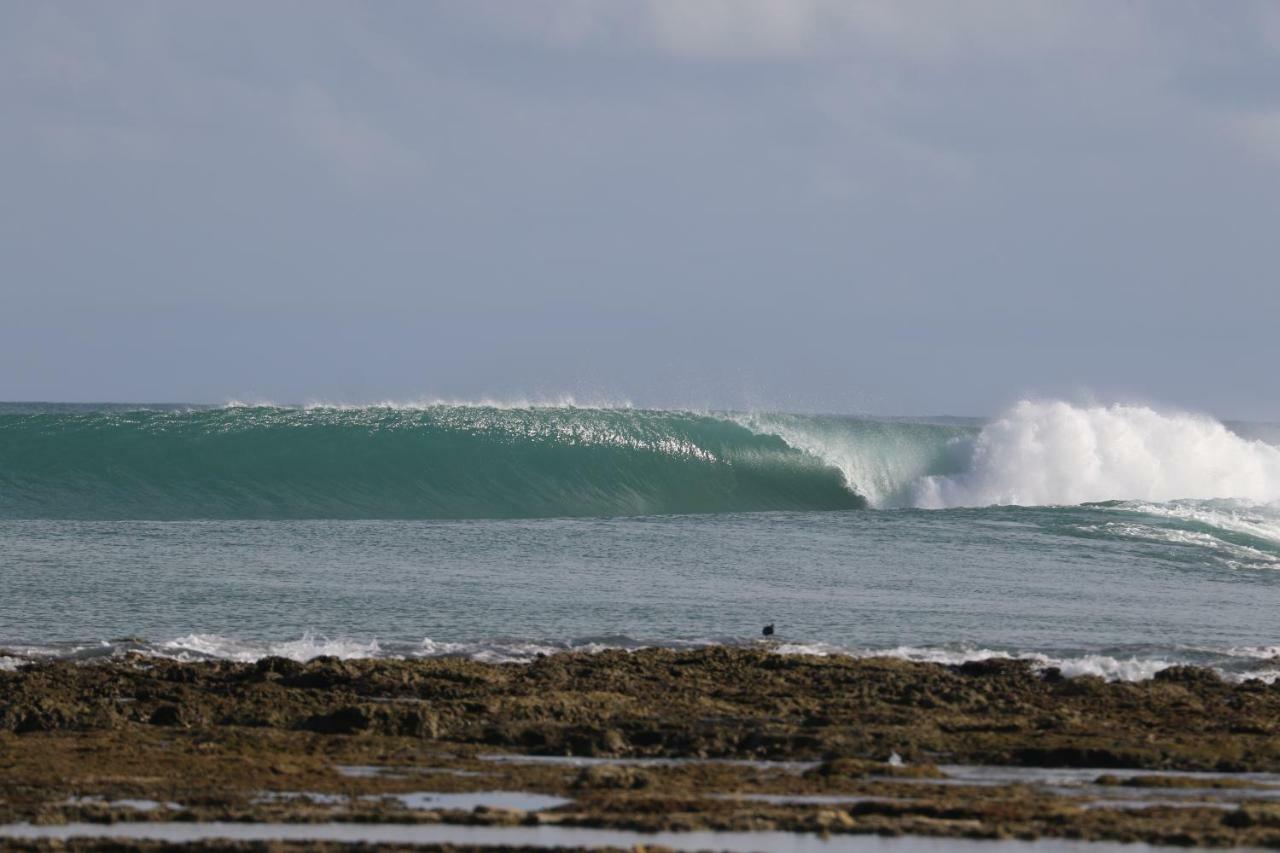 Oseda Nias Surf House Hotell Hilibotodane Exteriör bild